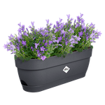 vibia campana balkonbak 50cm antraciet